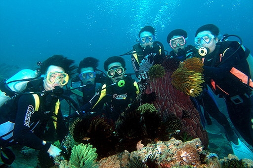 フィリピン留学 マニラ CNN ダイビング 名古屋 岐阜 大垣