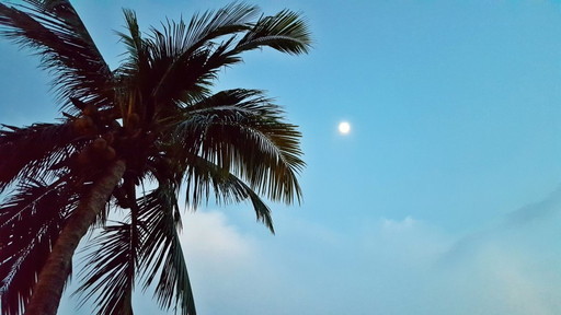 フィリピン スービック KEYSTONE Gerry's Grill 5