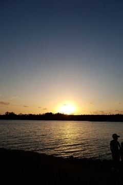 ブリスベン Browns 1月ニュースレター 初日の出_コピー