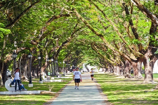 緑豊かなクラーク内の並木道(ジョギングする住民)