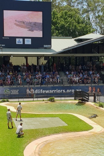 オーストラリア留学 ブリスベン BROWNS Australian_Zoo 名古屋