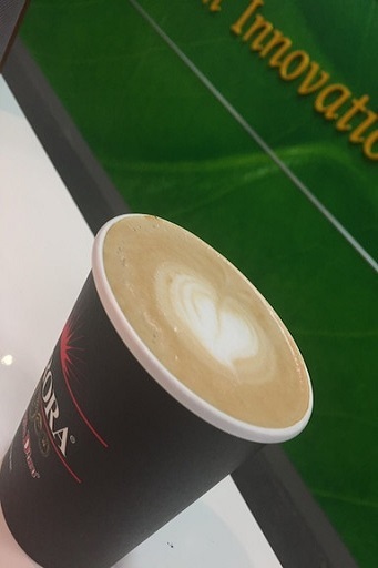 2019.03月 ニュースレター 3