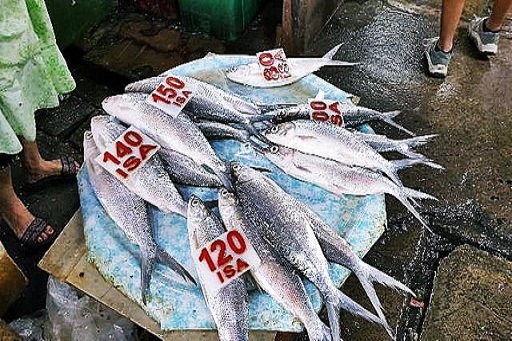 フィリピン留学 スービック KEYSTONE Public Market 2