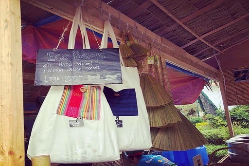 フィリピン バギオ留学 Tala 6