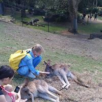 オーストラリア ゴールドコースト留学 Browns ジュニアキャンプweek1 写真 2 名古屋 岐阜 大垣 留学エージェント