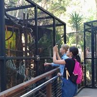 オーストラリア ゴールドコースト留学 Browns ジュニアキャンプweek1 写真 4 名古屋 岐阜 大垣 留学エージェント