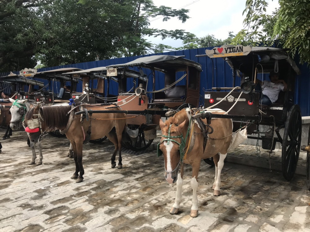 フィリピン留学 バギオ Vigan 3