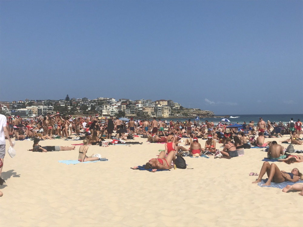 オーストラリアワーキングホリデー シドニー 2019.12.25 クリスマス ボンダイビーチ